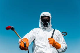 Best Pest Exclusion Services  in Berwyn Heights, MD